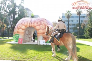 Inflatable Brain Tunnel (10)