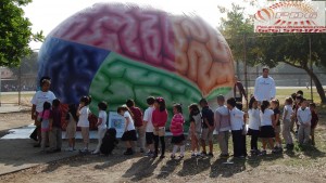 Inflatable Brain Tunnel (11)