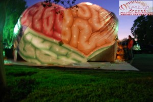 Inflatable Brain Tunnel (12)