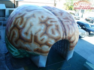 Inflatable Brain Tunnel (13)