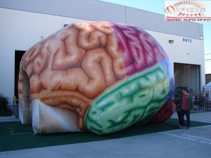 Inflatable Brain Tunnel (17)