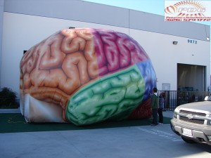 Inflatable Brain Tunnel (18)