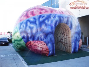 Inflatable Brain Tunnel (19)