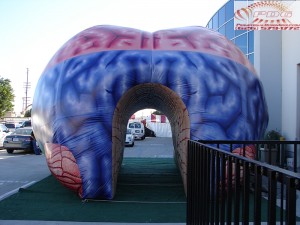Inflatable Brain Tunnel (20)