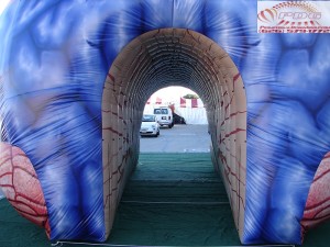 Inflatable Brain Tunnel (21)
