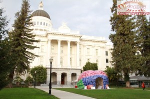 Inflatable Brain Tunnel (3)