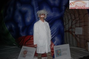 Inflatable Brain Tunnel (5)