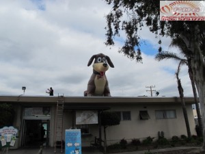 Inflatable Dog for LA County Pet Adoption Event