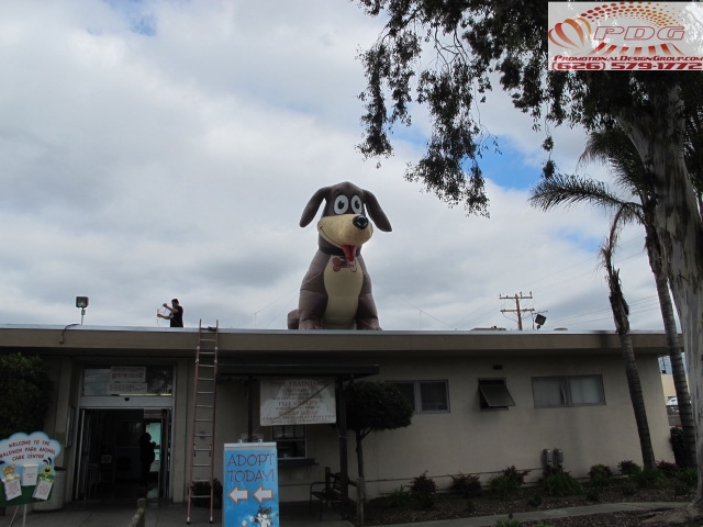 Inflatable Dog for LA County Pet Adoption Event